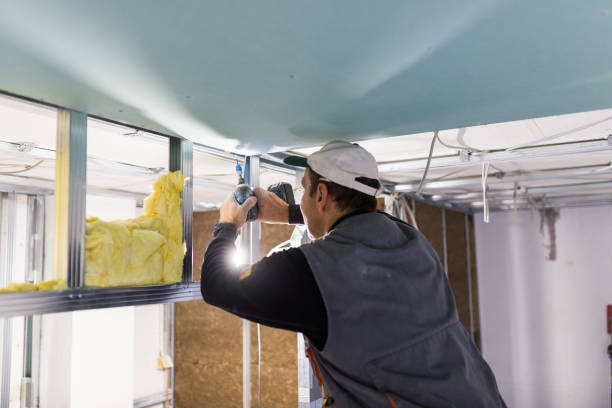 Best Geographic-Specific Insulation Services in Clifton Knolls Mill Creek, NY
